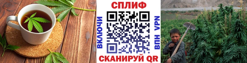 Canna-Cookies конопля  даркнет сайт  Кондопога 