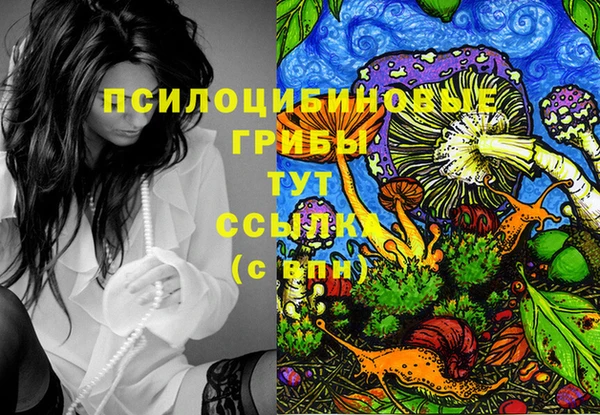 spice Белокуриха